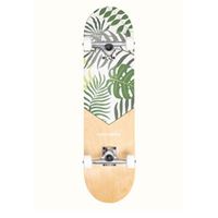 סקייטבורד קומפלט RETROSPEC ALAMEDA MALIBU PALM
